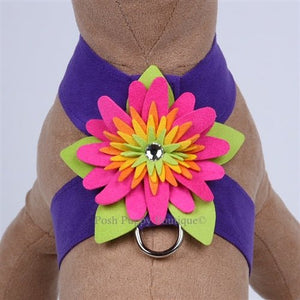 Susan Lanci Island Flower Collection Tinkie Harness - Many Colors - Posh Puppy Boutique