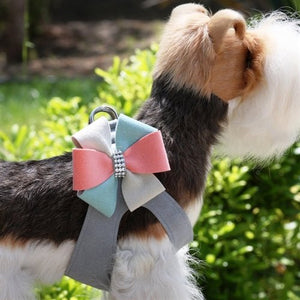 Susan Lanci Julia Step - In Harness - Posh Puppy Boutique