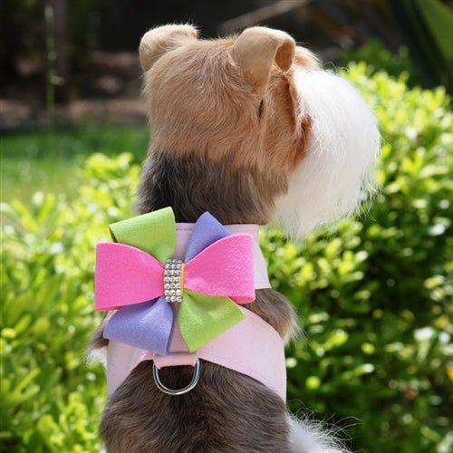 Susan Lanci Madison Bow Tinkie Harness