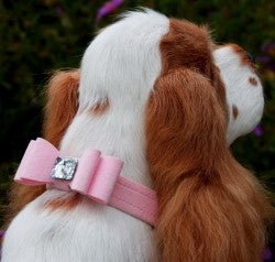 Susan Lanci Really Big Bow Ultrasuede Collars in Many Colors - Posh Puppy Boutique