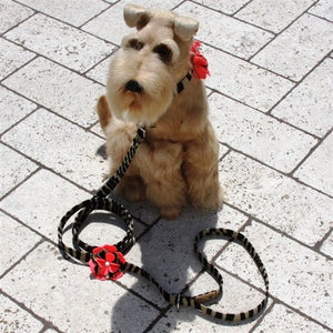 Susan Lanci Sarah Leash - Posh Puppy Boutique