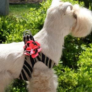 Susan Lanci Sarah Step In Harness - Posh Puppy Boutique