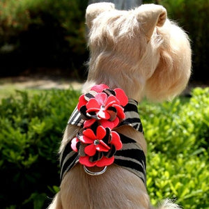 Susan Lanci Sarah Tinkie Harness - Posh Puppy Boutique