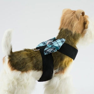 Susan Lanci Scotty Tinkie Harness Tiffi Plaid - Nouveau Bow - Posh Puppy Boutique