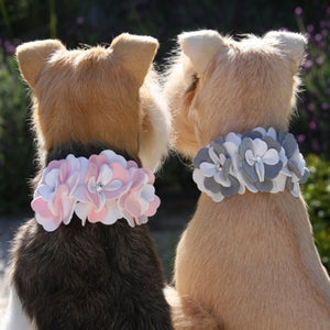 Susan Lanci Special Occasion Collar - Platinum or Puppy Pink - Posh Puppy Boutique