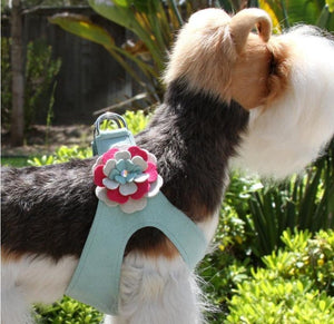 Susan Lanci Step in Harness - Blossom - Posh Puppy Boutique