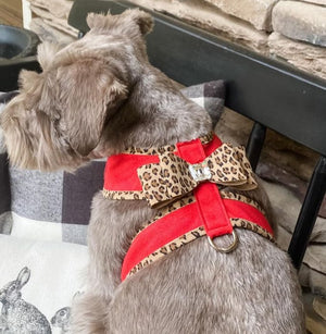 Susan Lanci Two Tone Big Bow Tinkie Harness in Red with Cheetah Trim - Posh Puppy Boutique