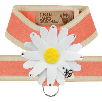 Susan Lanci Two Tone Peaches N Cream Tinkie Harness with Doe Trim with Daisy