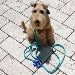 Susan Lanci Violet Leash - Posh Puppy Boutique