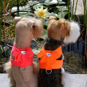 Susan Lanci Water Lily Collection Tinkie Harness in Many Colors - Posh Puppy Boutique