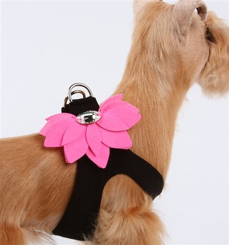 Susan Lanci Water Lily Two Tone Step In Harness - Black with Perfect Pink