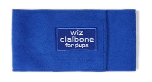 Susan Lanci Wiz Claybone Wizzers Bellyband