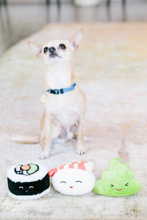 Sushi Bento Set - Posh Puppy Boutique