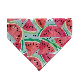 Sweet Watermelon Dog Bandana - Posh Puppy Boutique