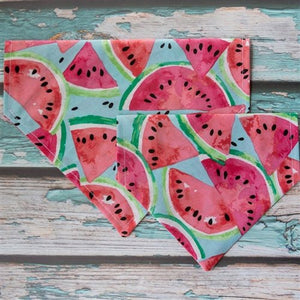 Sweet Watermelon Dog Bandana - Posh Puppy Boutique