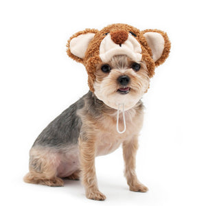 Teddy Bear Hat - Posh Puppy Boutique