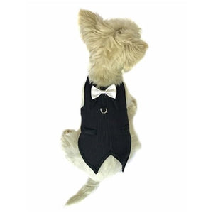 The Dog Father Pinstriped Tuxedo - Posh Puppy Boutique