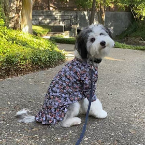 The Ethel - Blue Floral Waffle Knit Dress - Posh Puppy Boutique