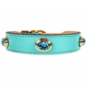 The Royal Collection Dog Collar in Turqoise & Gold - Posh Puppy Boutique