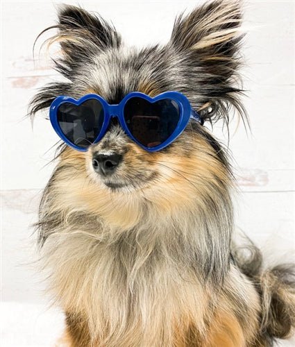 Sunglasses - Posh Puppy Boutique