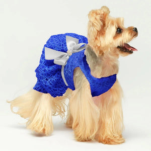 Tulle Lace Dress in Blue - Posh Puppy Boutique