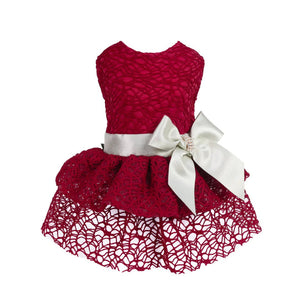 Tulle Lace Dress in Crimson - Posh Puppy Boutique