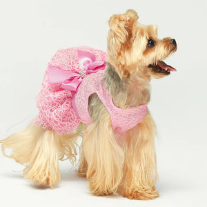 Tulle Lace Dress in Pink - Posh Puppy Boutique