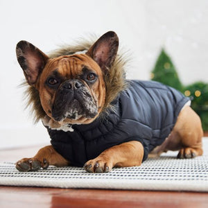 Urban Parka in Black - Posh Puppy Boutique