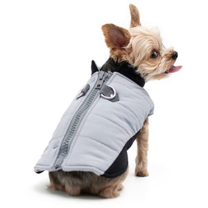 Urban Runner Coat in Gray - Posh Puppy Boutique