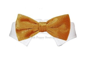 Valentino Velvet Bow Tie Collar - Gold - Posh Puppy Boutique