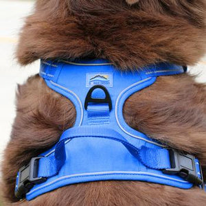 Venture Paw Pull Control Dog Harness - Mountain Lake