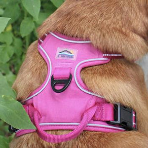 Venture Paw Pull Control Dog Harness - Wild Raspberry