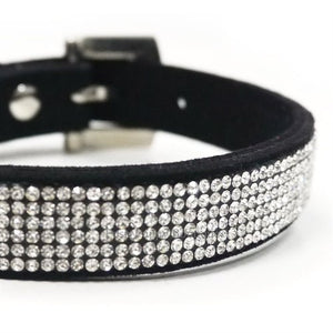 VIP Bling Collar - Black - Posh Puppy Boutique