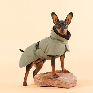 Visibility Raincoat in Green - Posh Puppy Boutique