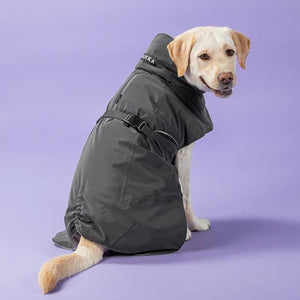 Visibility Winter Jacket in Dark Grey - Posh Puppy Boutique