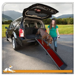 Wander Ramp - Black - Red - Posh Puppy Boutique