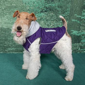 Weekender Dog Sweatshirt Hoodie - Purple - Posh Puppy Boutique