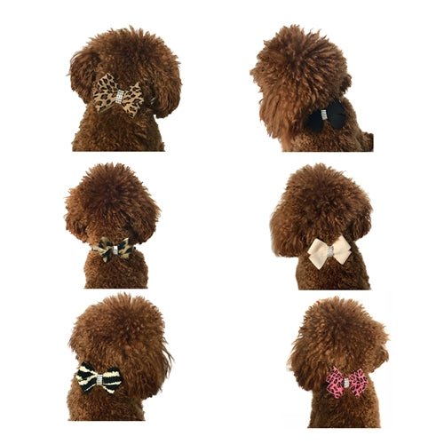 Westminster First Bow Collar Slider in Many Styles