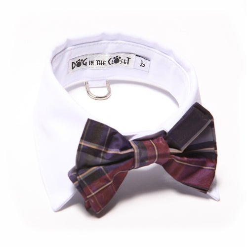 White Shirt Dog Collar with Purple Silk Plaid Bow Tie