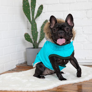 Winter Sailor Parka in Aqua - Posh Puppy Boutique