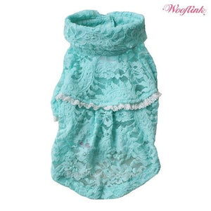 Wooflink Dream Girls Shirt in Mint - Posh Puppy Boutique