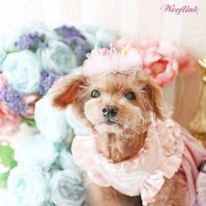 Wooflink Perfect Day Dress in Pink - Posh Puppy Boutique