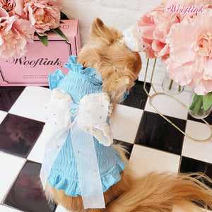 Wooflink Spring Moments Mini Dress in Blue - Posh Puppy Boutique