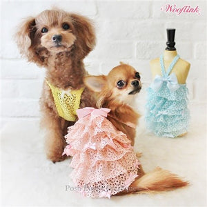 Wooflink SUGARLICIOUS Dress - Blue - Posh Puppy Boutique