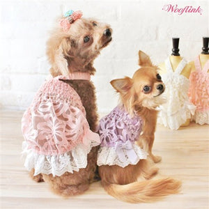 Wooflink Summer Pastel - Purple - Posh Puppy Boutique