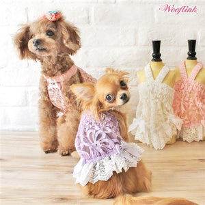 Wooflink Summer Pastel - Purple - Posh Puppy Boutique