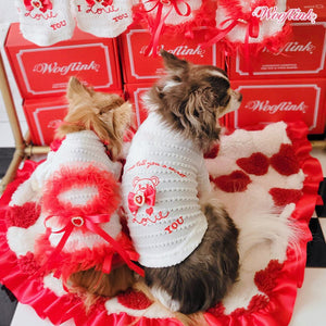 Wooflink Valentines Day Knitted Top - Posh Puppy Boutique