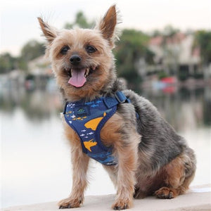 Wrap and Snap Choke Free Dog Harness - Island Sharks - Posh Puppy Boutique