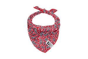 Zephyr Cooling Bandana - Rebel Red - Posh Puppy Boutique