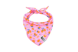 Zephyr Cooling Bandana - Zesty - Posh Puppy Boutique